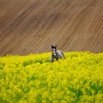 Aktualne pozycjonowanie w realnościach przeobrażeń obserwowanych w ekosystemie Google i social mediach